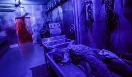 鬼屋在线观看免费,揭秘恐怖背后的真实故事