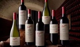 葡萄酒最新爆料视频,探寻顶级佳酿背后的秘密